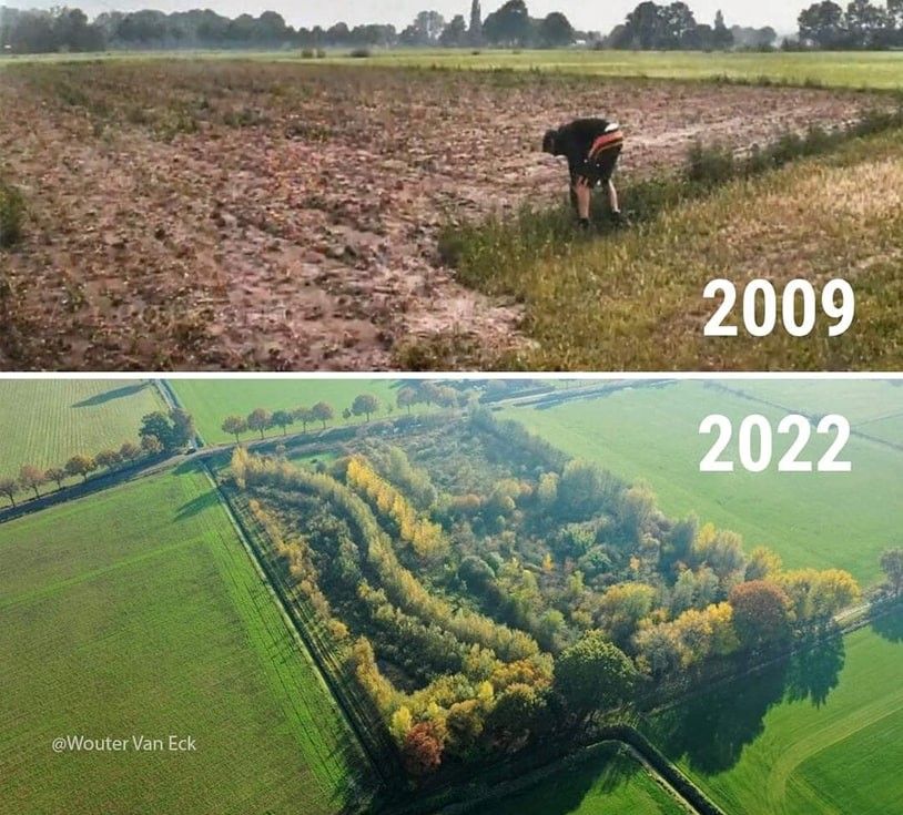 Lebensmittelwald – Wouter van Eck (Foto: Netzfrauen)
